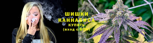 ешки Арсеньев