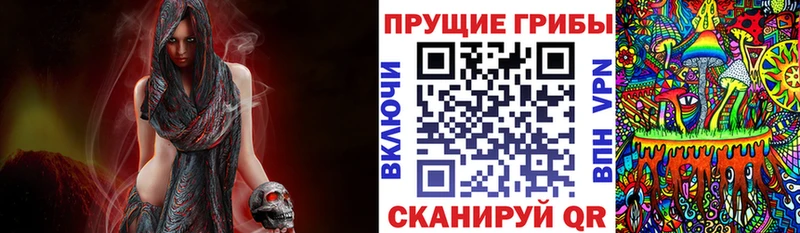 Галлюциногенные грибы Psilocybe  Ивдель 